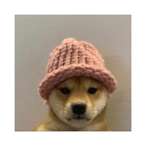 dogwifhat